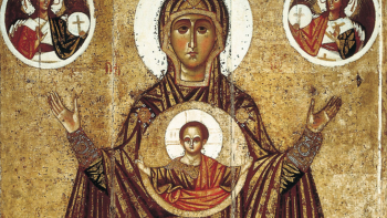 CUANDO LOS DOCTORES DISCREPAN